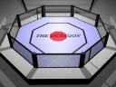 octagon.jpg