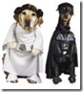 th-30941-41202-dog