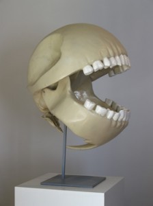 Random image, Pacman's skull by Le Gentil Garcon