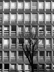 Photo by Daveybot on Flickr used under Creative Commons