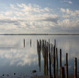 Photo by Irargerich from Flickr used under Creative Commons