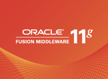 Fusion Middleware 11g