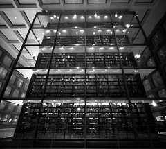 Everything looks cooler in black and white.